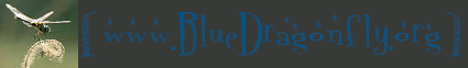 bluedragonfly.jpg